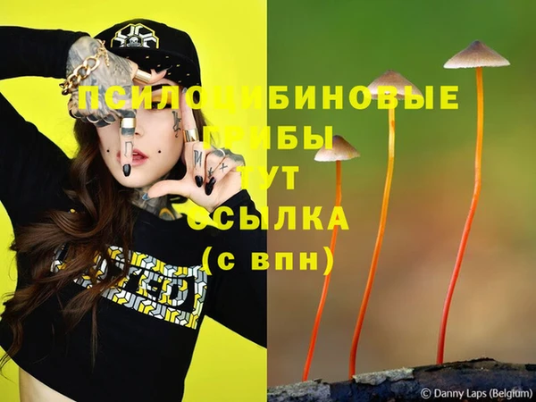гашишное масло Дмитров