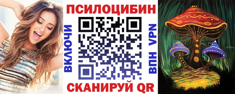 Купить закладки  Новоалтайск  Галлюциногенные грибы Cubensis 